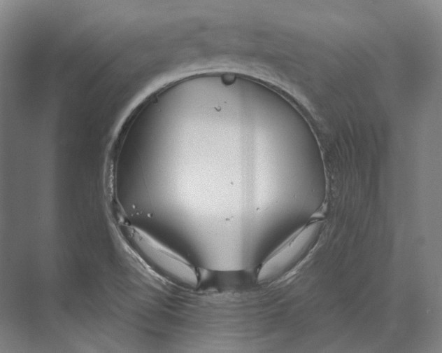 X0000073991510200609181729