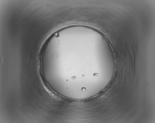 X0000073991511200609181729