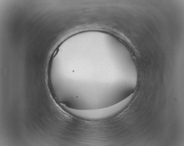 X0000073991512200609181729