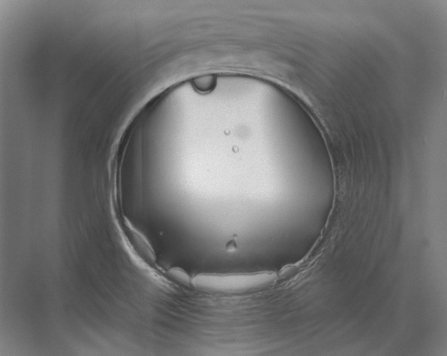 X0000073991515200609181729