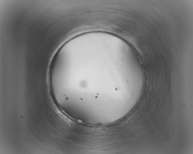 X0000073991516200609181729