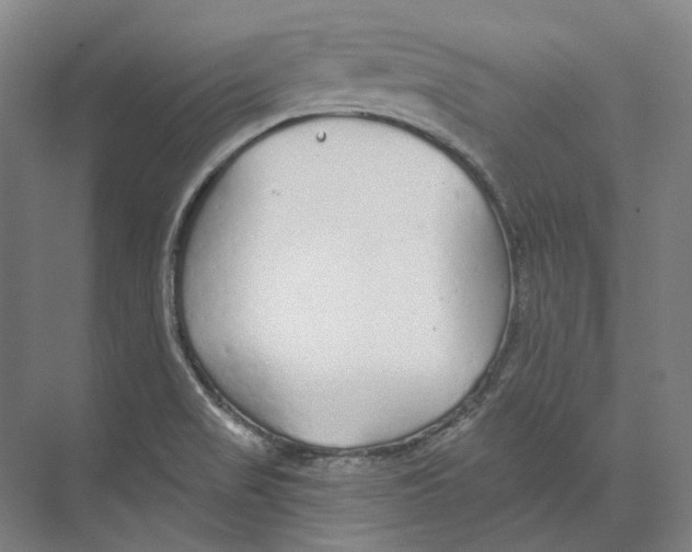 X0000073991517200609181729