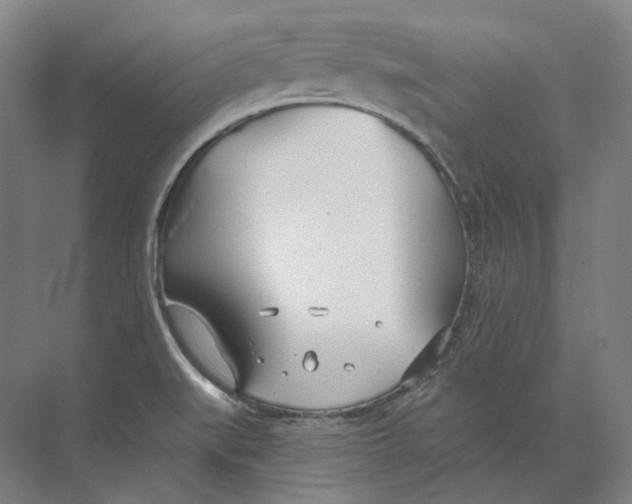 X0000073991519200609181729