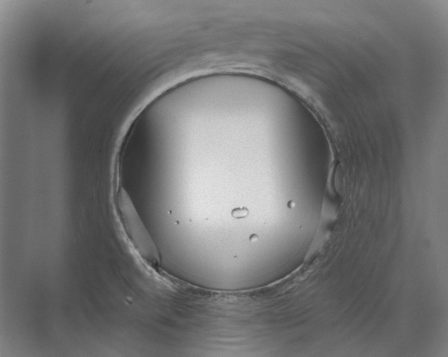 X0000073991520200609181729