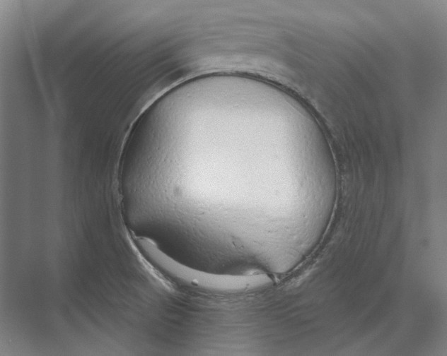 X0000073991521200609181729