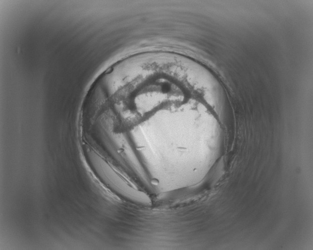 X0000073991522200609181729