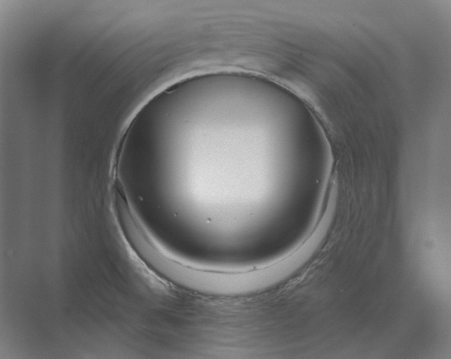 X0000073991524200609181729