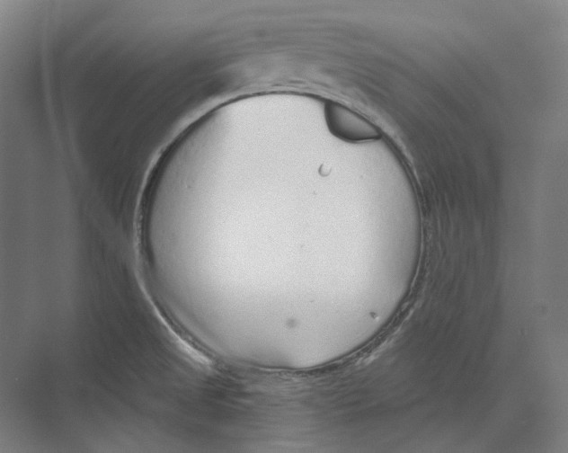 X0000073991525200609181729