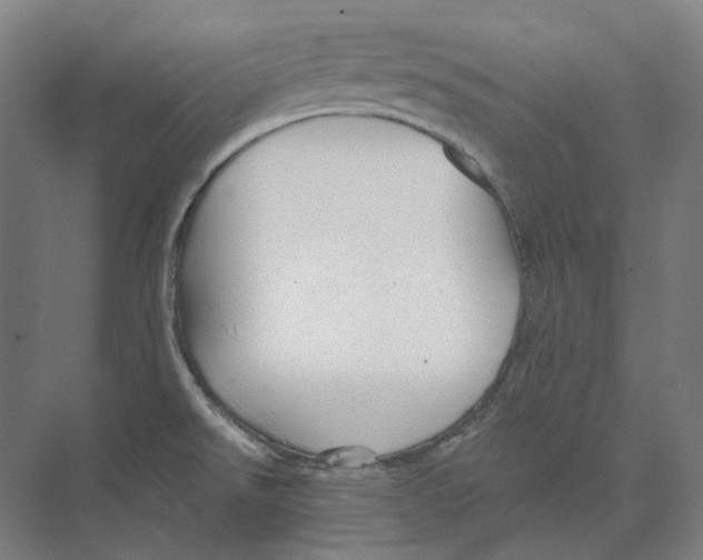 X0000073991526200609181729