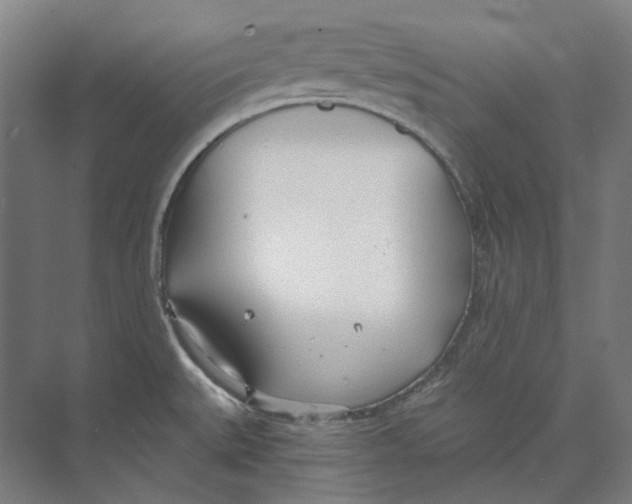 X0000073991527200609181729