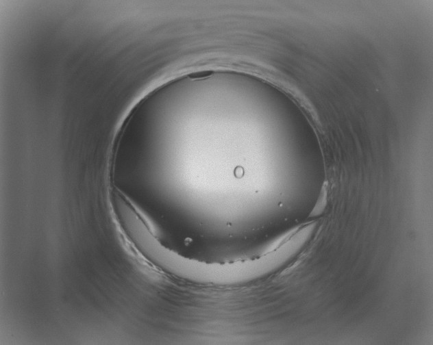 X0000073991530200609181729