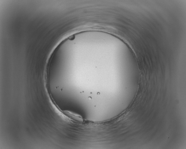 X0000073991531200609181729