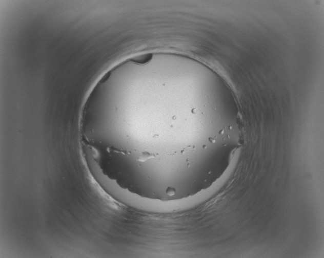 X0000073991532200609181729