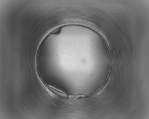 X0000073991533200609181729