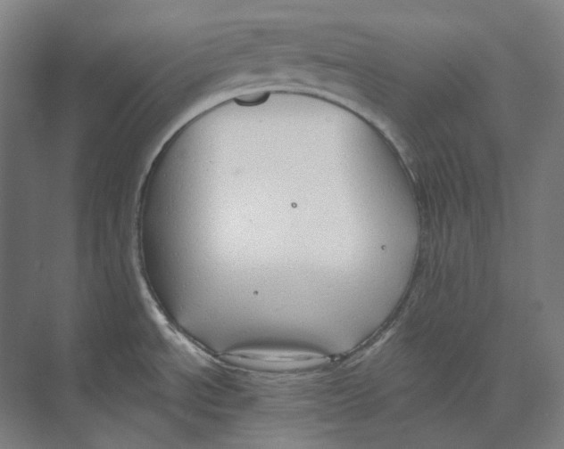 X0000073991534200609181729