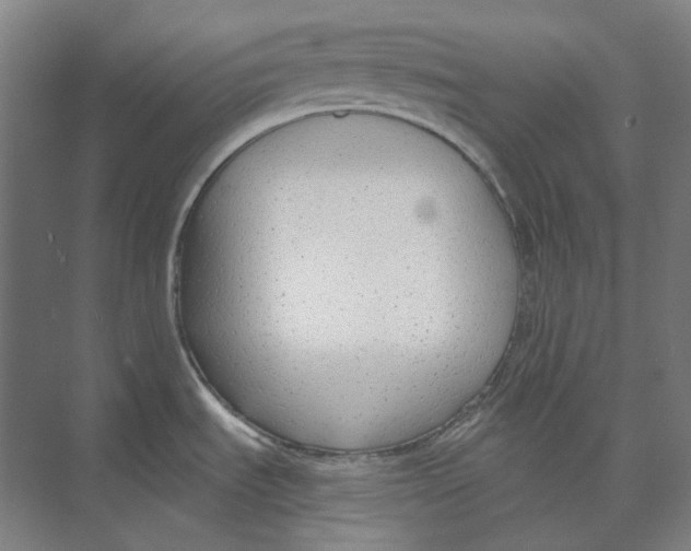 X0000073991535200609181729