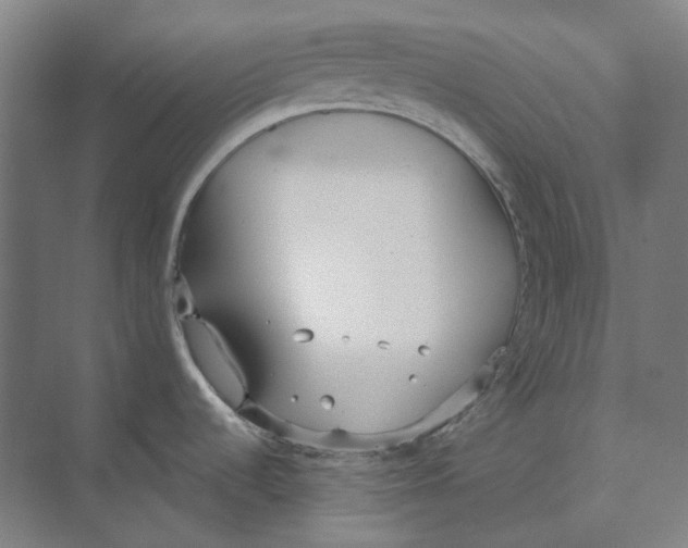 X0000073991536200609181729