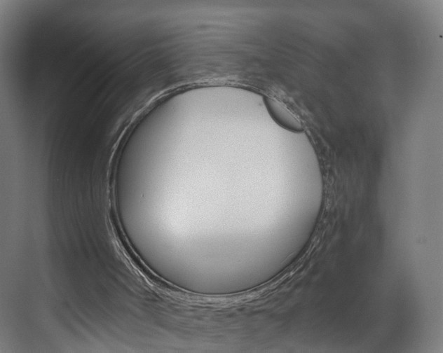 X0000074000002200608211120
