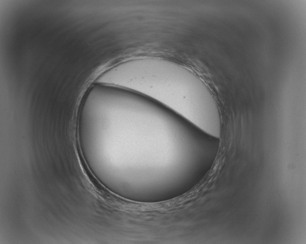 X0000074000003200608211120