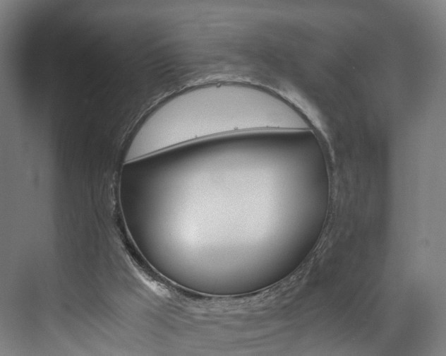 X0000074000009200608211119