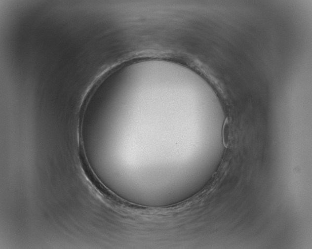 X0000074000011200608211119