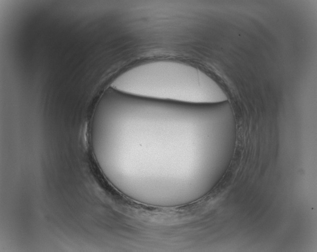 X0000074000024200608211119