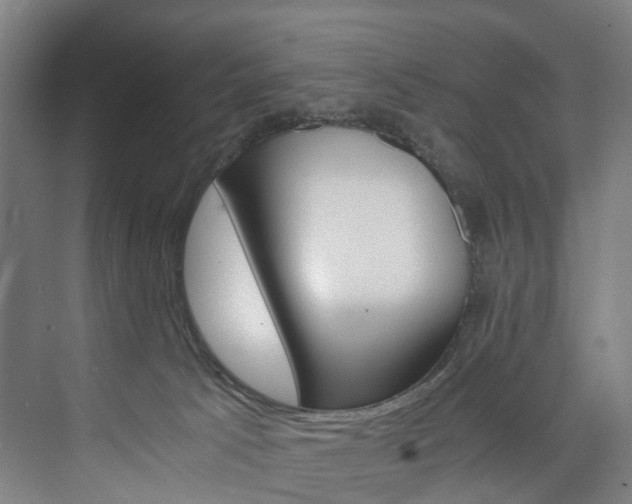 X0000074000033200608211119