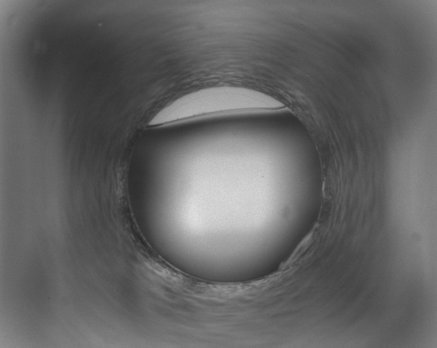 X0000074000037200608211119