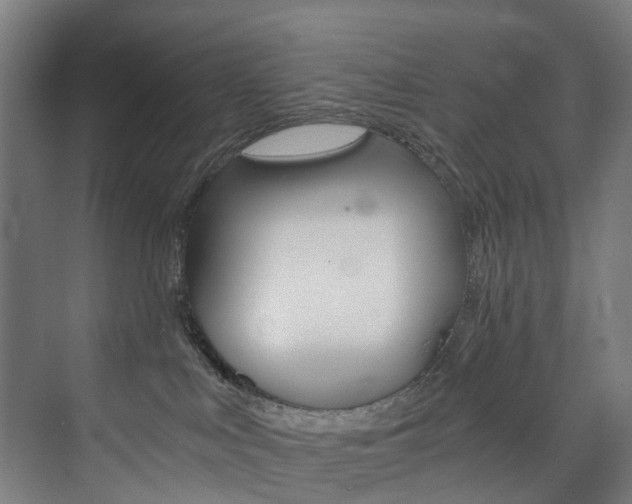X0000074000043200608211119