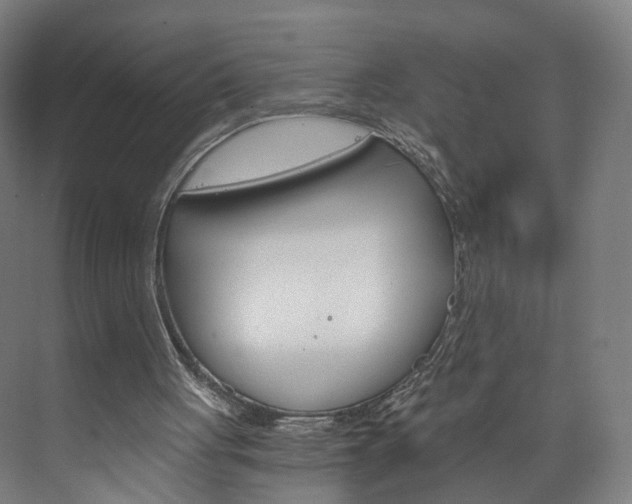 X0000074000051200608211118