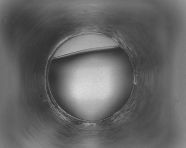 X0000074000052200608211118