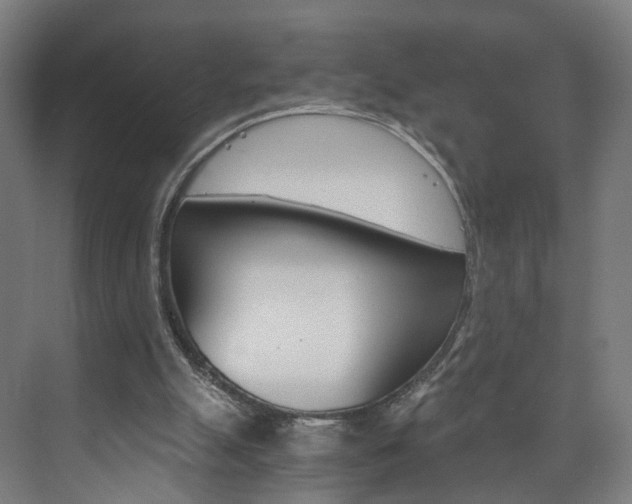 X0000074000055200608211118