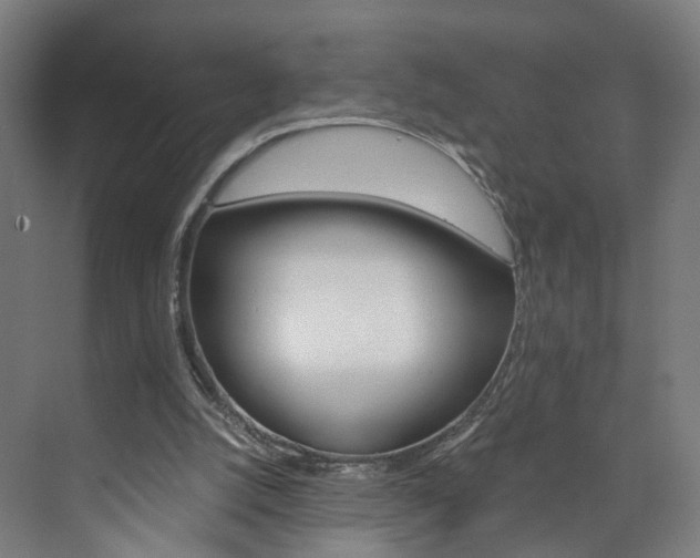 X0000074000056200608211118