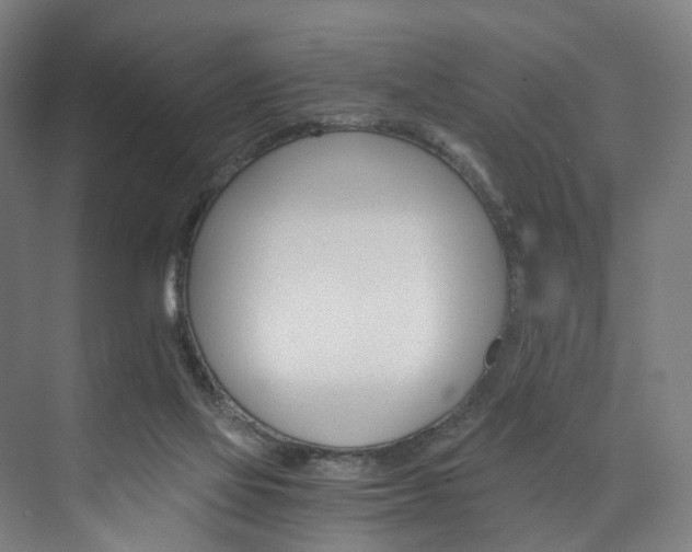 X0000074000069200608211118