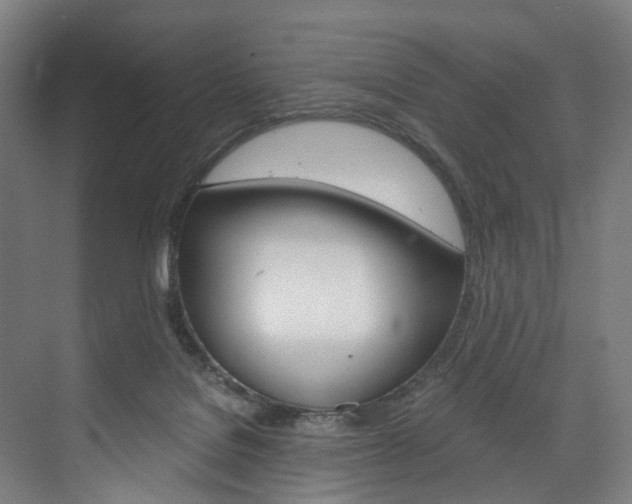 X0000074000076200608211118