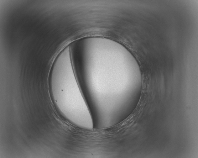 X0000074000099200608211118