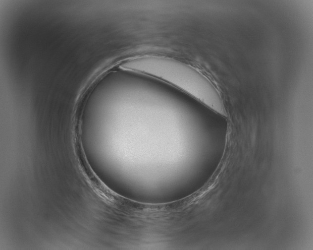 X0000074000101200608211118