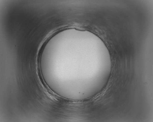 X0000074000102200608211118