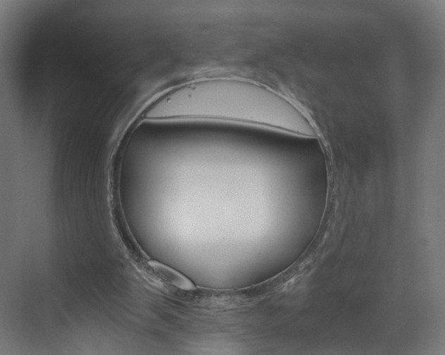 X0000074000103200608211118