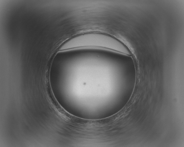 X0000074000105200608211118