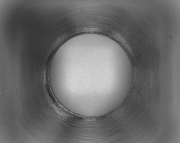 X0000074000110200608211118