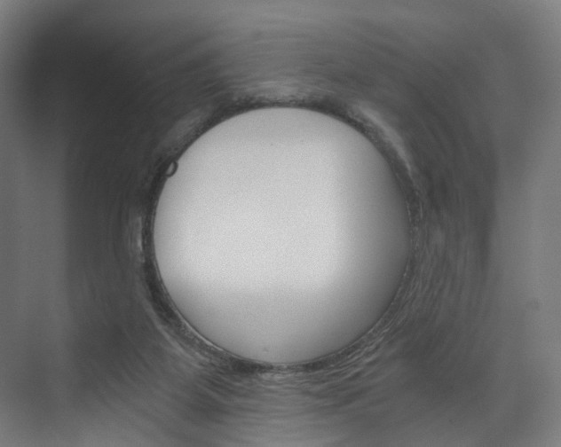 X0000074000115200608211118