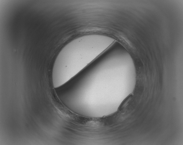 X0000074000119200608211118