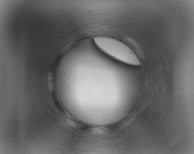 X0000074000121200608211118