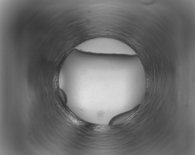 X0000074000142200608211117