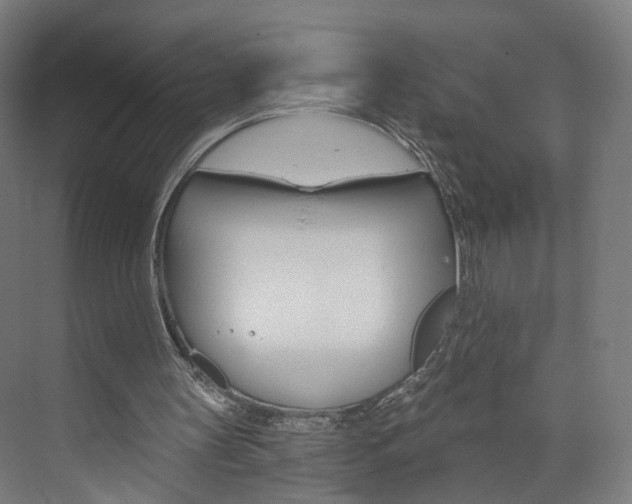 X0000074000147200608211116