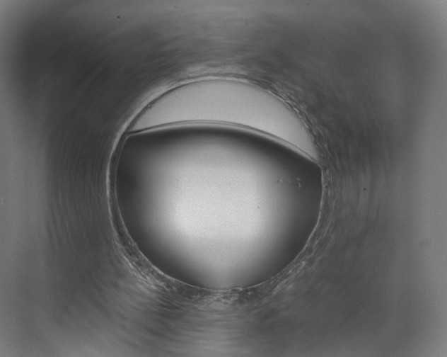 X0000074000148200608211116