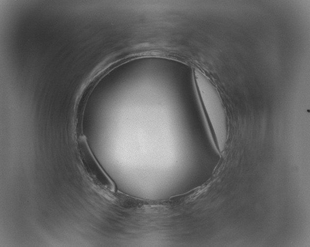 X0000074000150200608211116