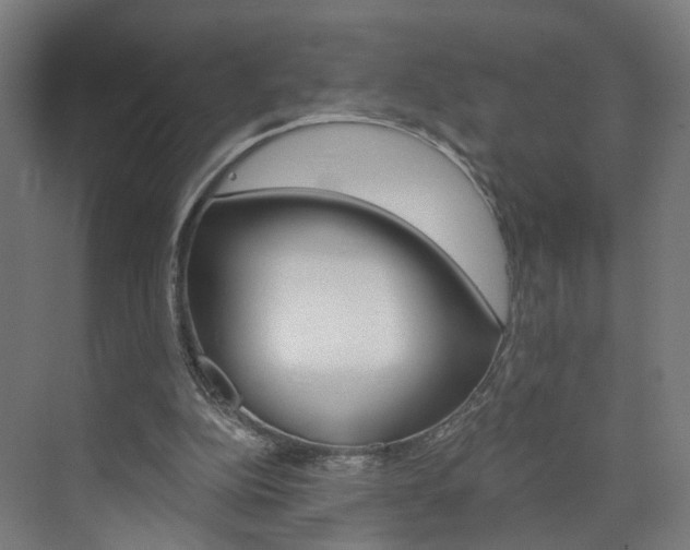 X0000074000152200608211117