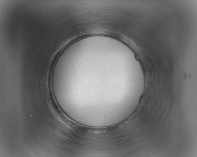 X0000074000155200608211117